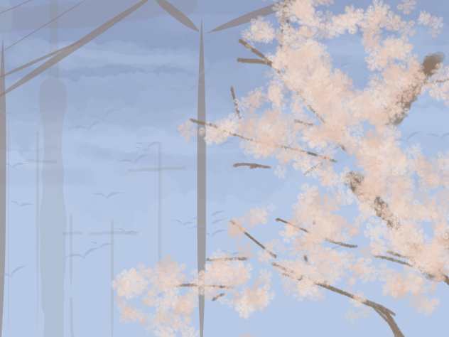 cherry blossoms.