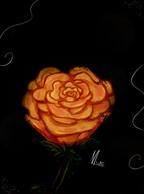 The rose