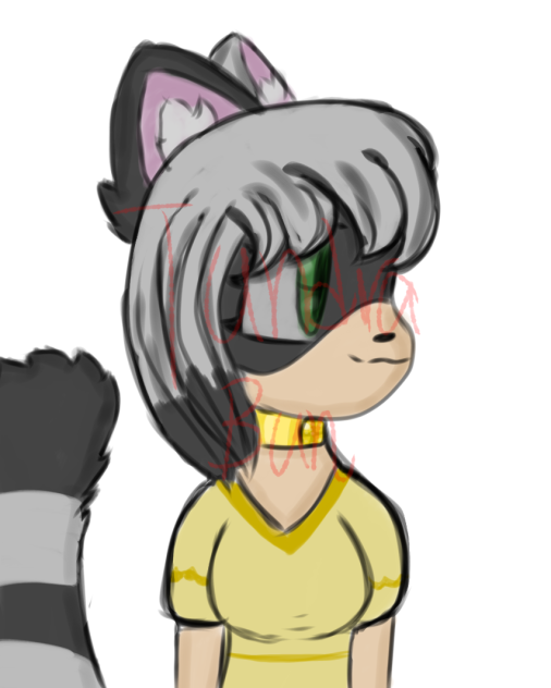 Raccoon Girl