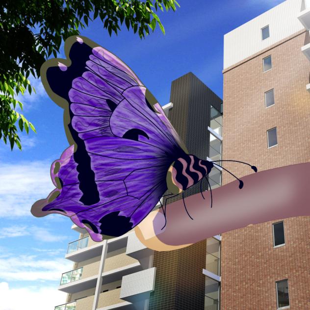 Butterfly