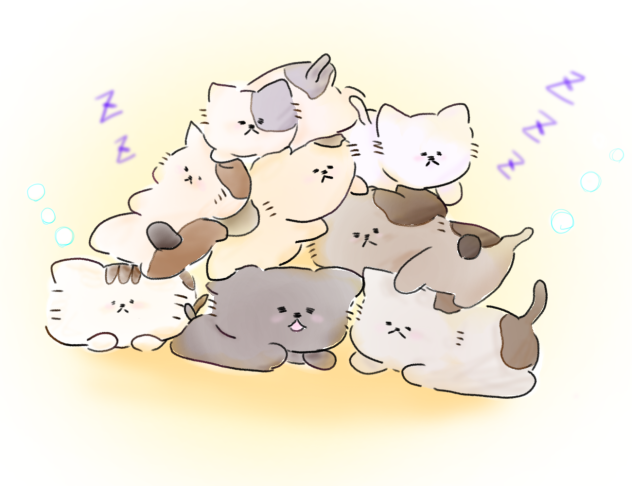 ねこねこねこねこねこ‼️