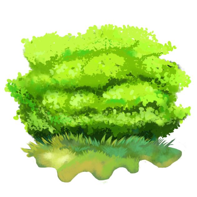 Bush