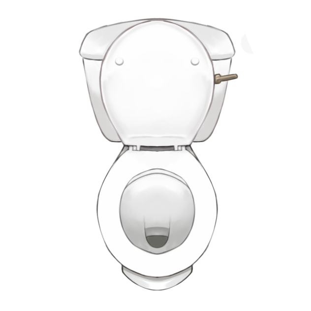 toilet 2