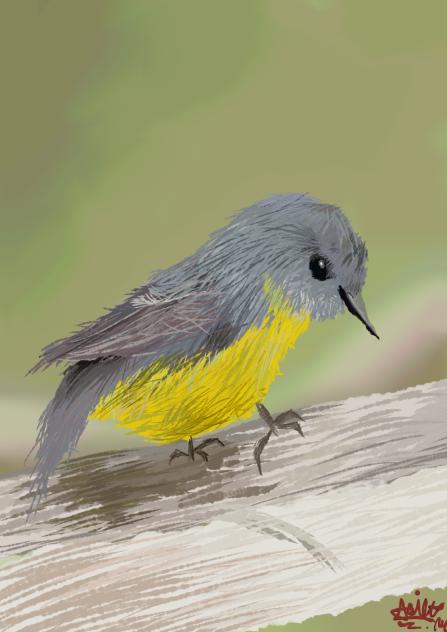 bird1