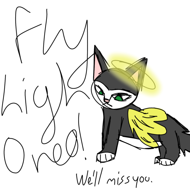 for my dead cat. fly high. 🐱👼🕊❤