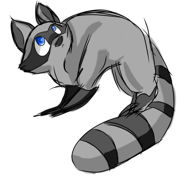 Енот - ibisPaint