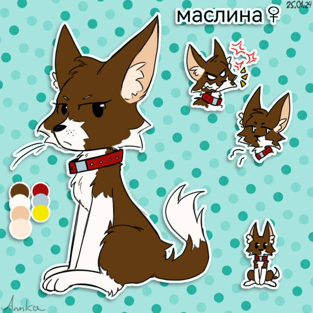 Маслина
