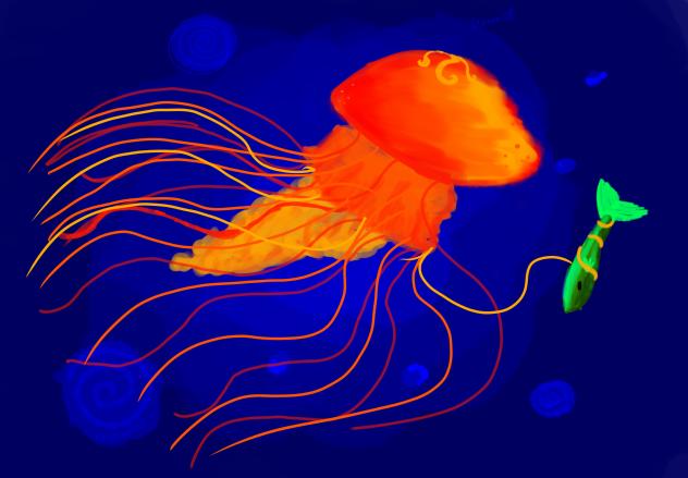 Fire jellyfish