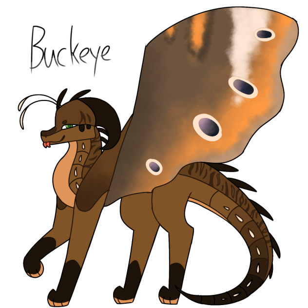 Buckeye
