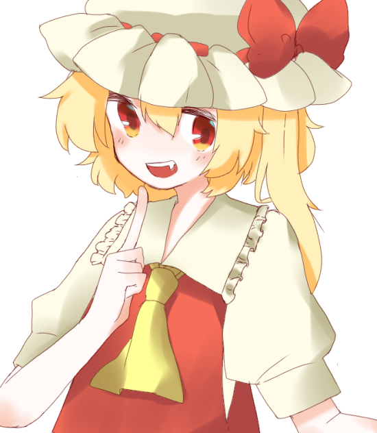 羽は収納できます