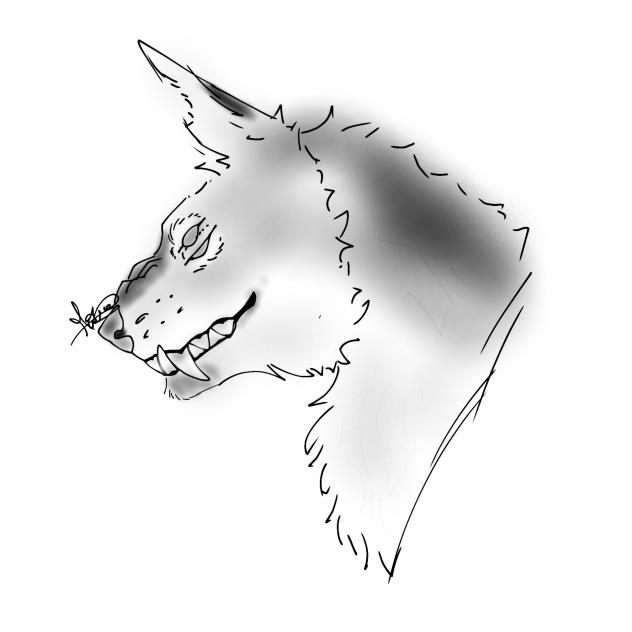 random doodle 2