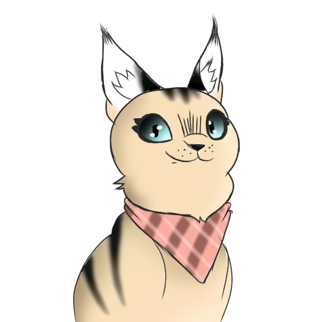 Pixie adulta