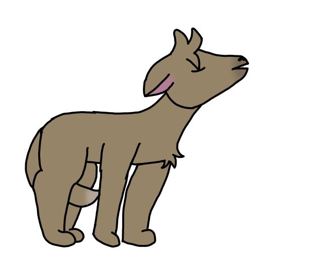 I can draw wolfs now!!