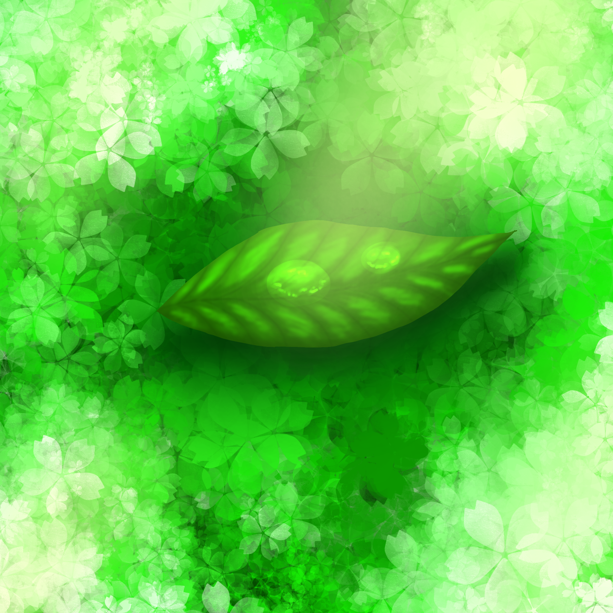 water drops on a leaf - ibisPaint