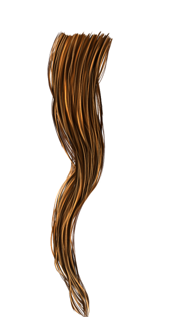 First try on painting real hair