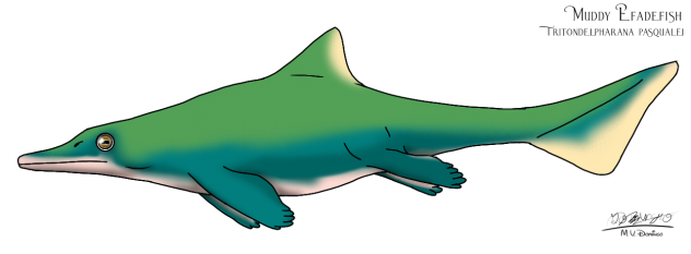 Muddy Efadefish