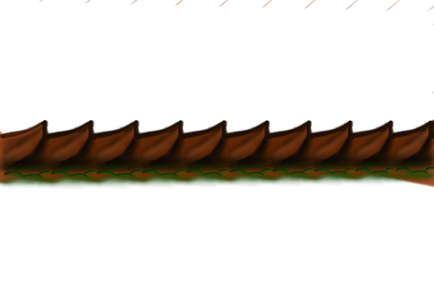 spine scales
