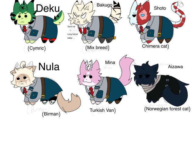 MHA cats pt1