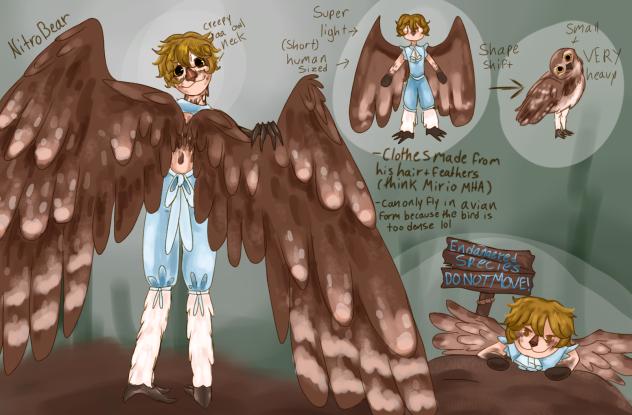 Burrowing Owl Grian