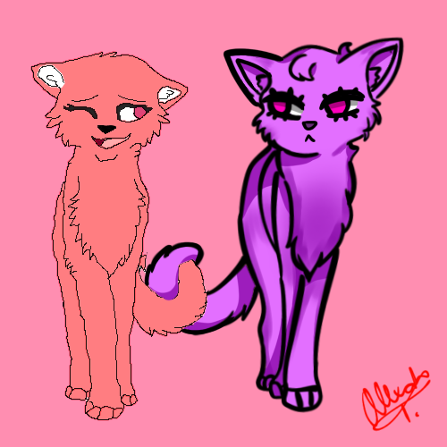 Kitty Collab