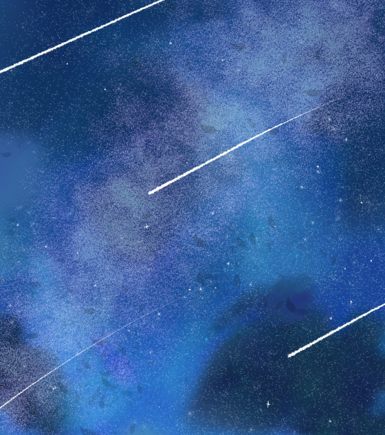 夜空