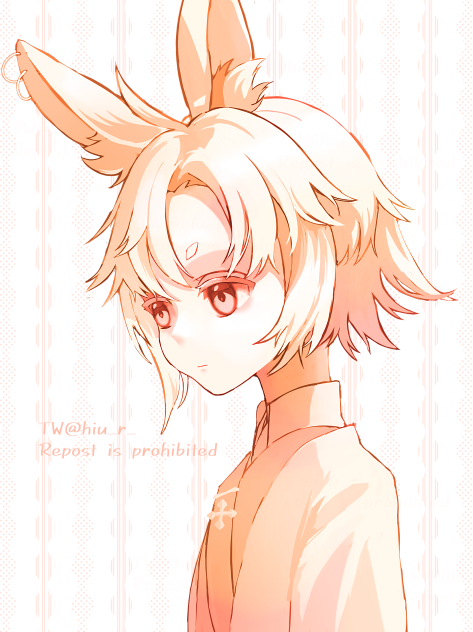 白兎くん