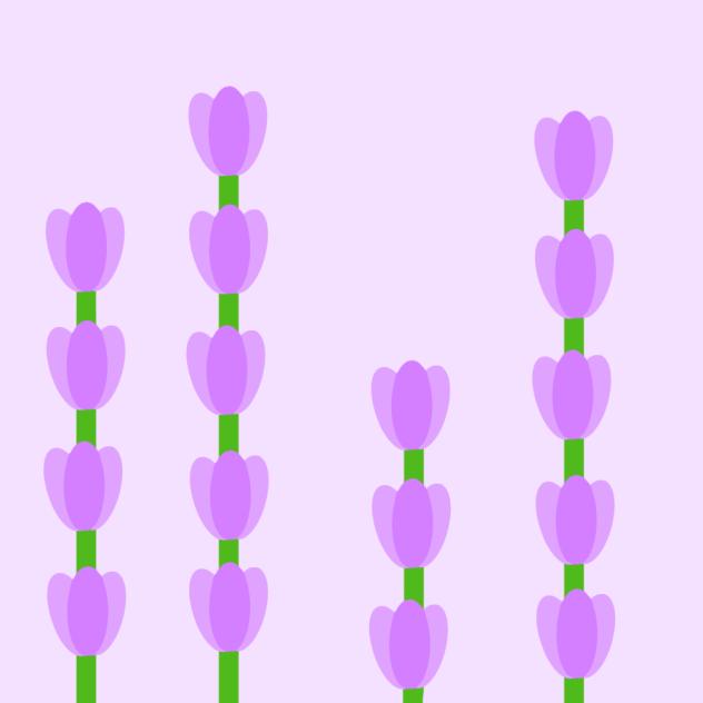 lavender