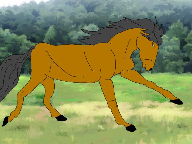 horse