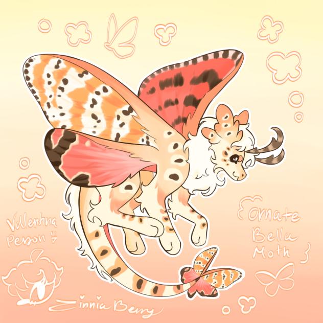 Ornate bella Mothfur