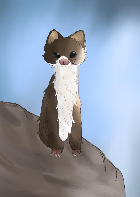 ^ Ferrettt ^