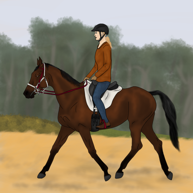 Endurance riding