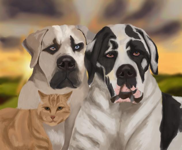 Opie, Pebbles, and Lolly