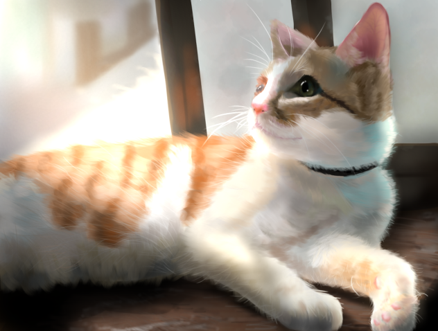 愛猫2