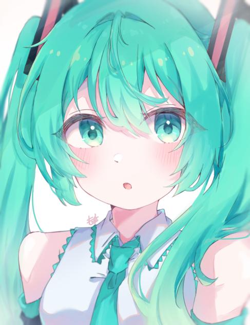 ミクちゃん