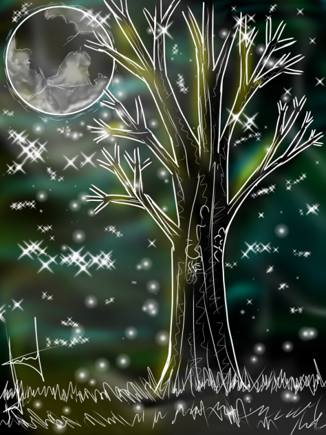 Paisaje nocturno - ibisPaint