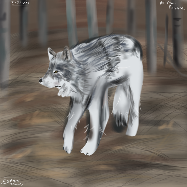 A wolf in a desolate forest