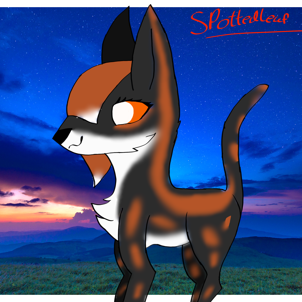 spottedleaf (warrior cats) ibisPaint