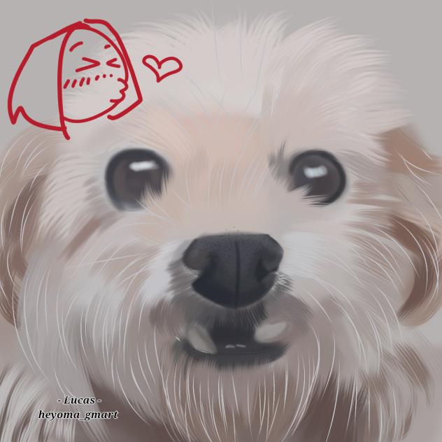 draw my pet -Lucas-