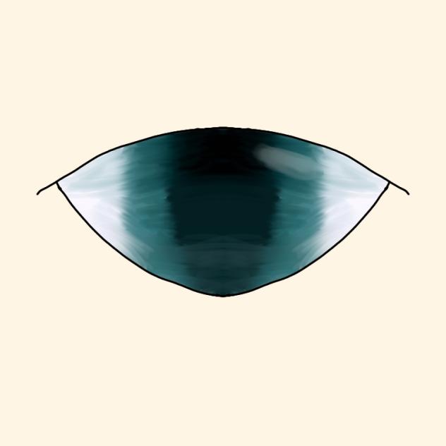 eye