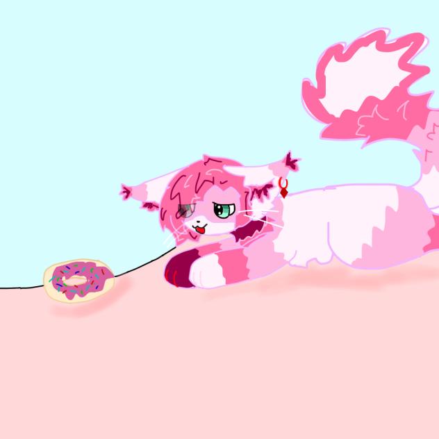 I need donut!