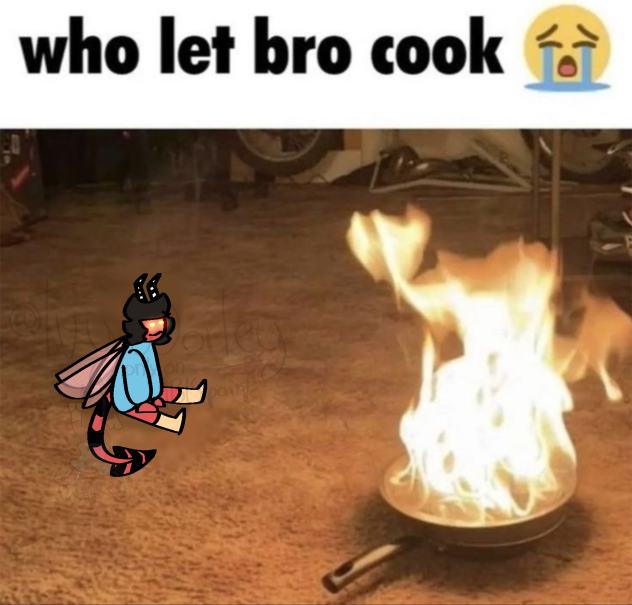 who let bro cook