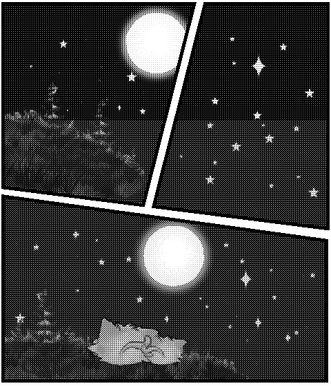 Dos gatos mirando a la Luna.