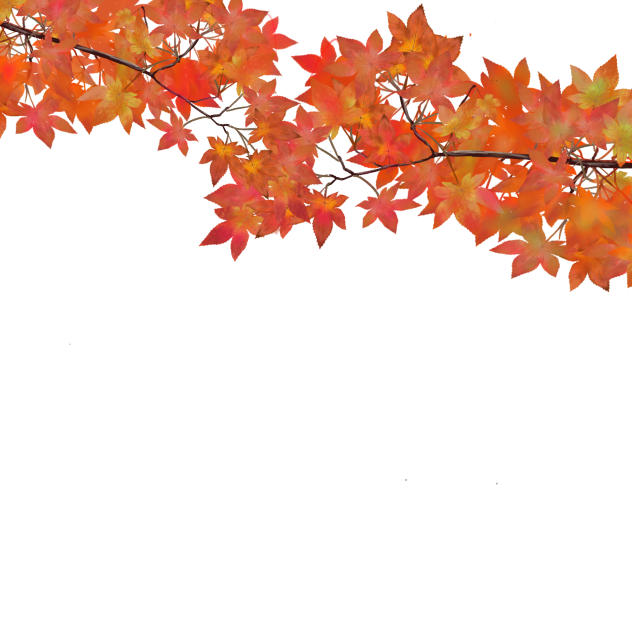 紅葉の枝