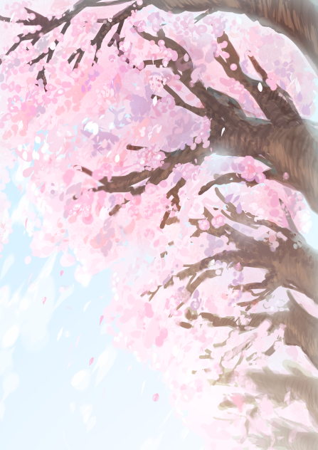 桜並木🌸