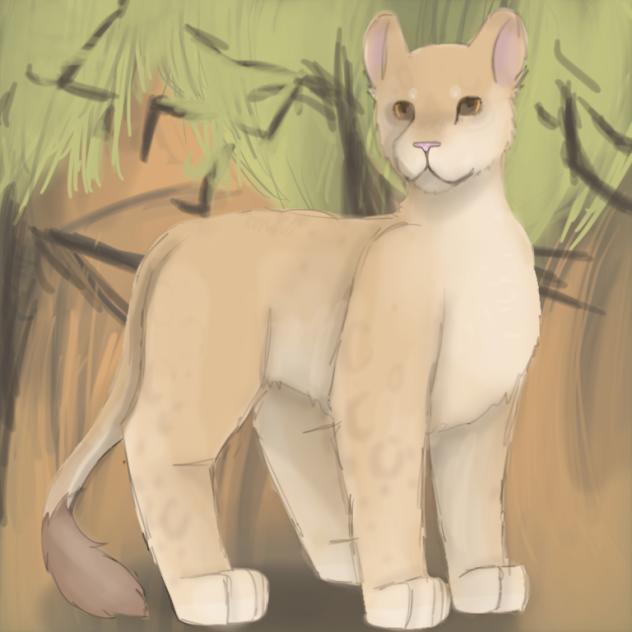Lioness