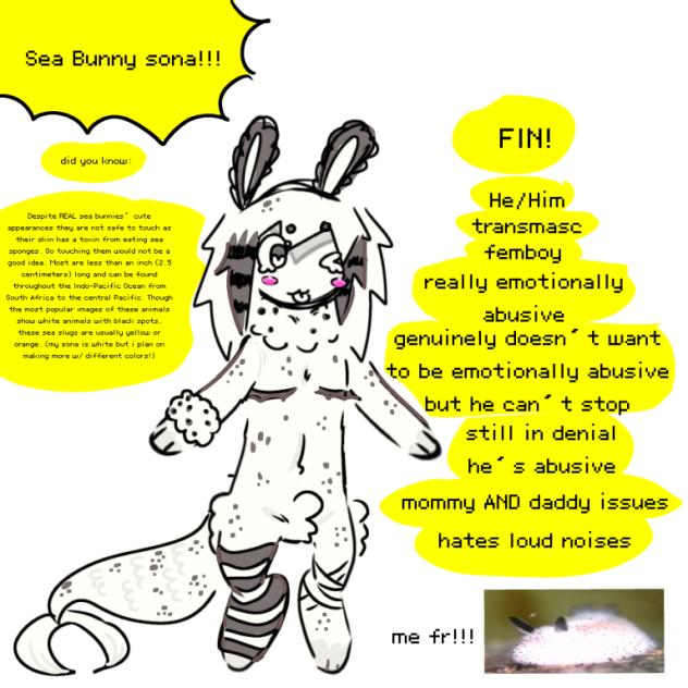 Sea bunny sona!!