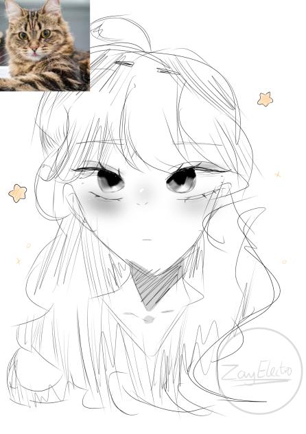 Cat Face Theory