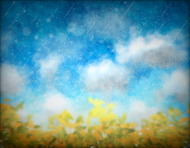 Field