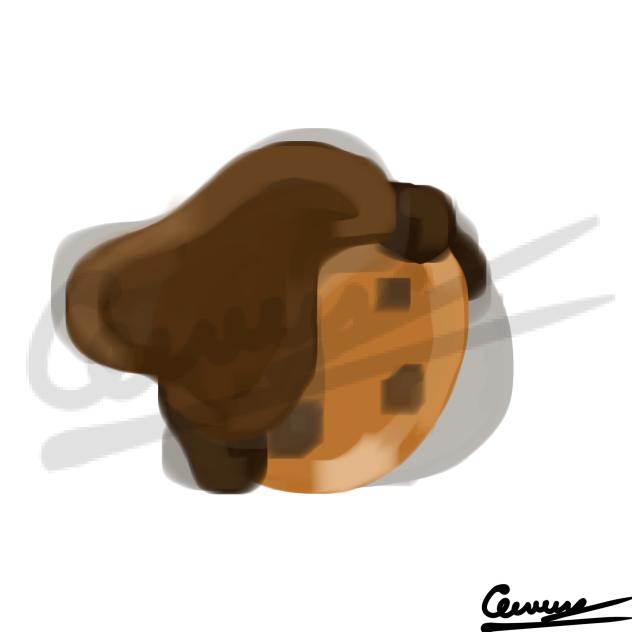 Uhh…cookie 🍪🍪🍪