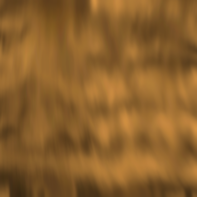 fur texture